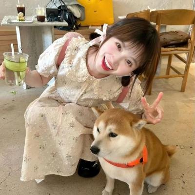 迪克切尼眼中的世界